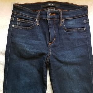 Joe's Jeans The Skinny Stretch in Yasmin EUC 24